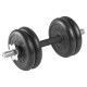 Гантель разборная 12 кг TITAN Barbell - d26